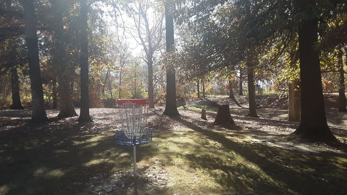 Hole 7 green