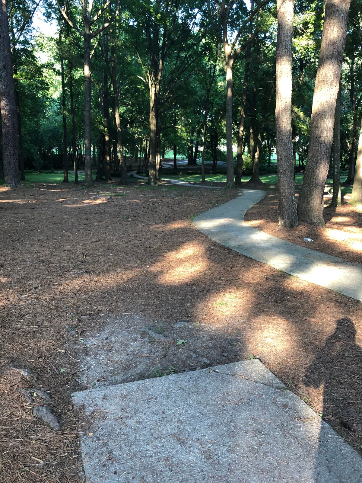 Hole 2 tee.