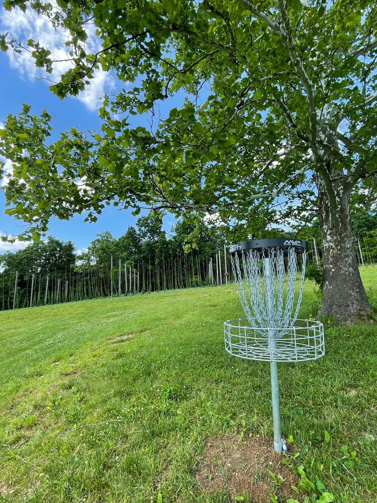 Hole 18 green