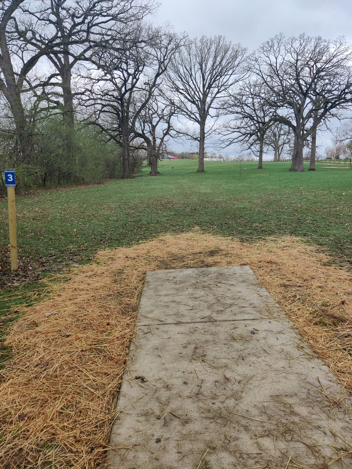 Hole 3 tee