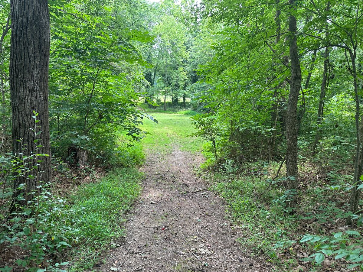 Tee 9