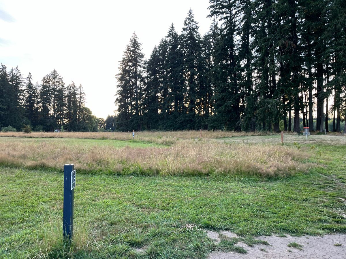 A look back to 17 green