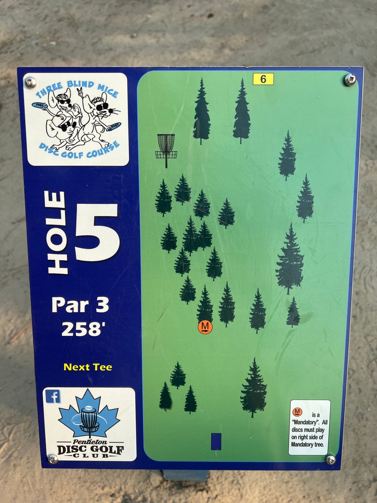 Hole 5