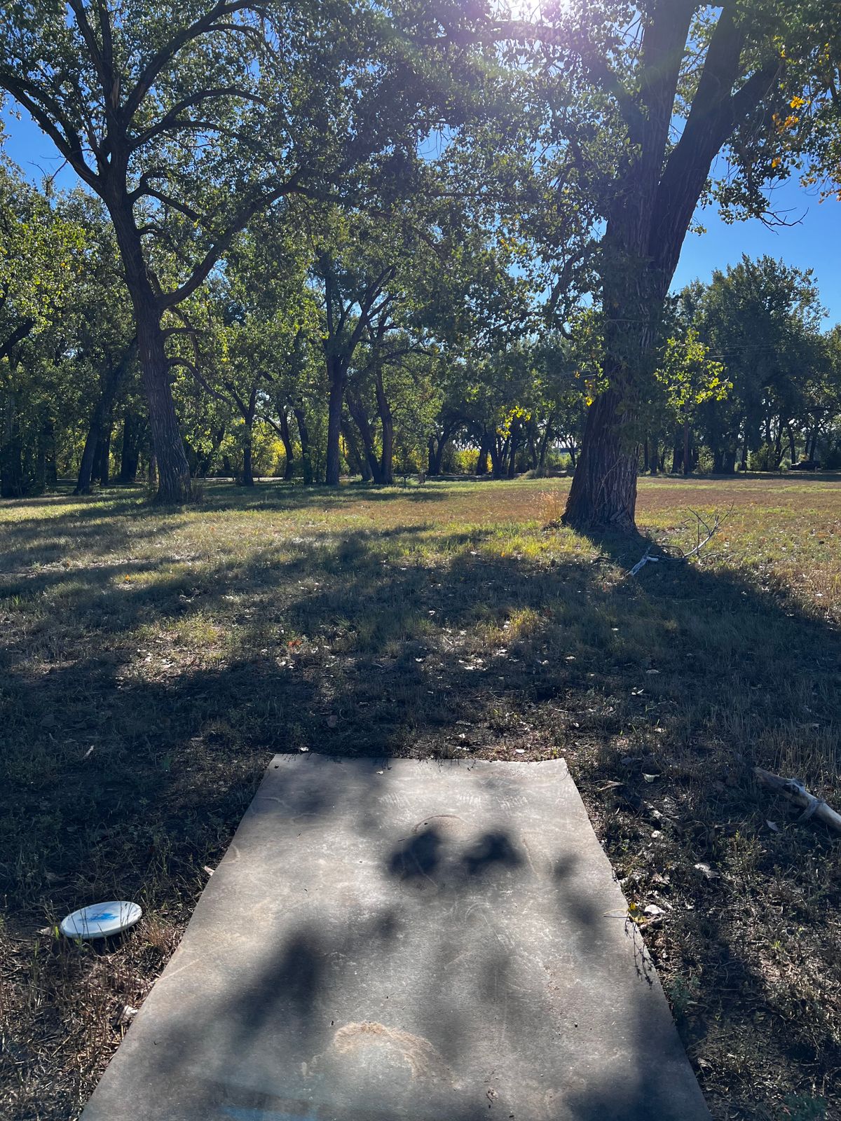 Tee 16