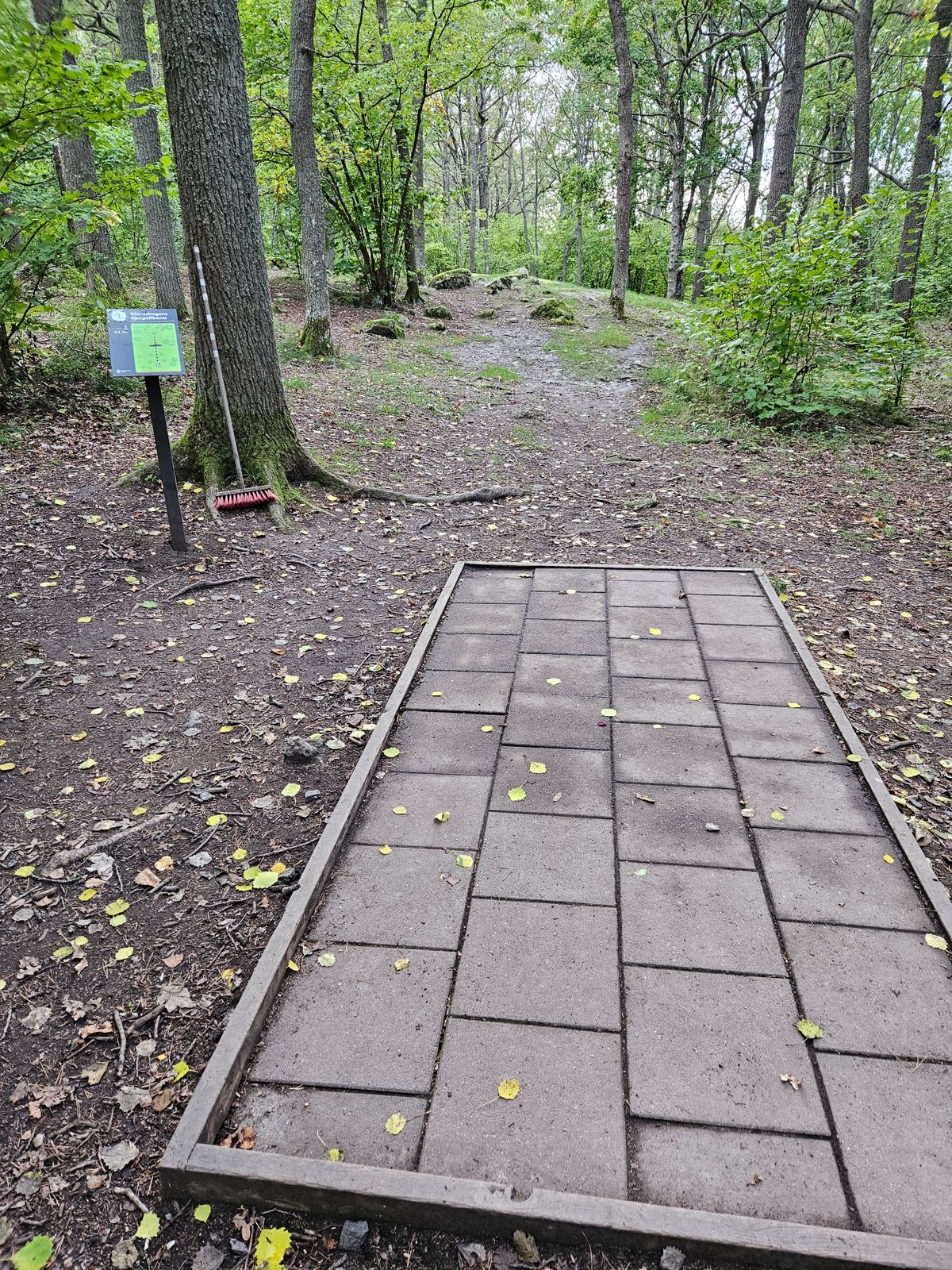 Tee 1