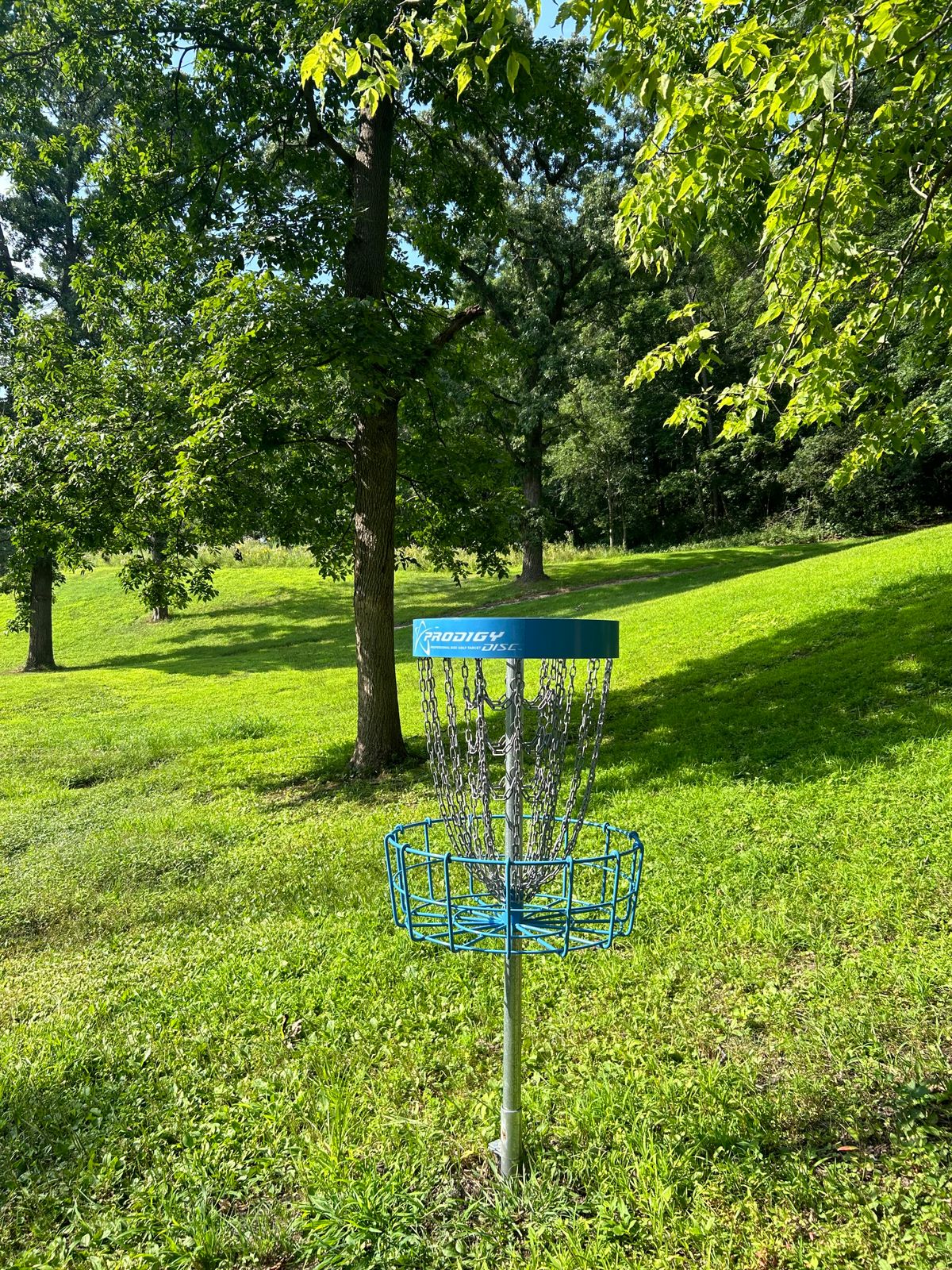 Hole 4 basket