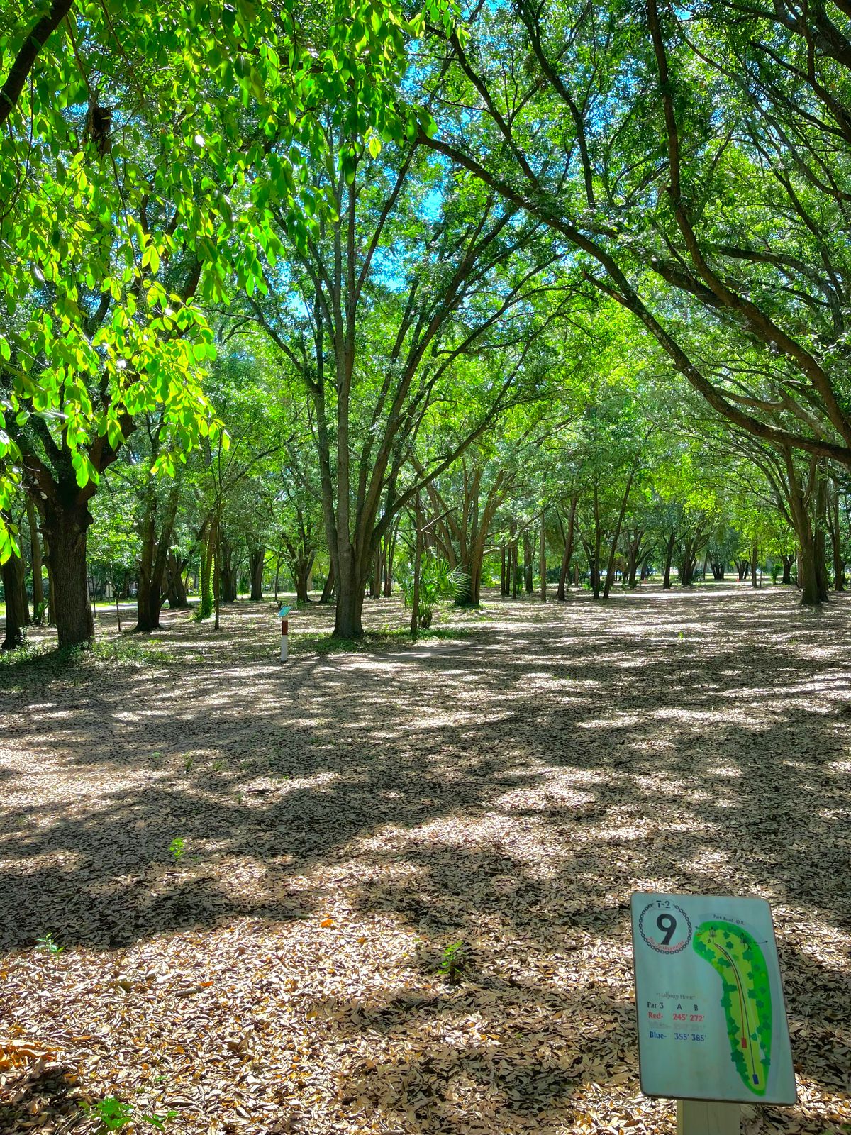 Hole 9 Red Tee