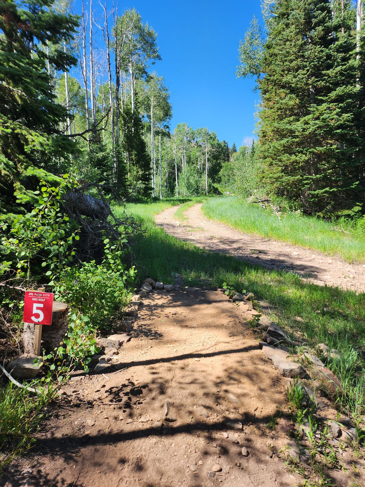 Old Hole 5