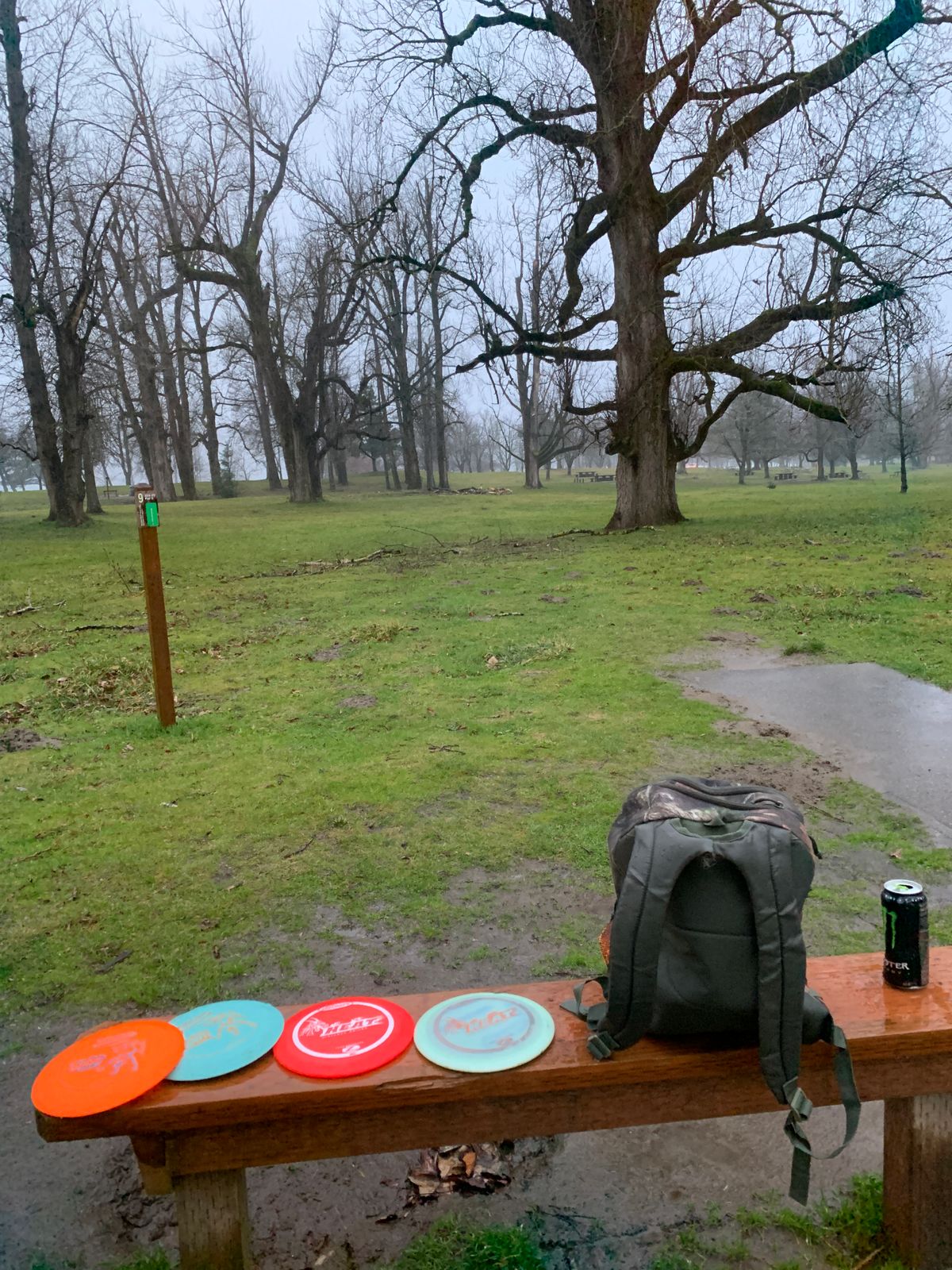 9th hole - last game of the year !! 2019 in the bag ..! +1 west