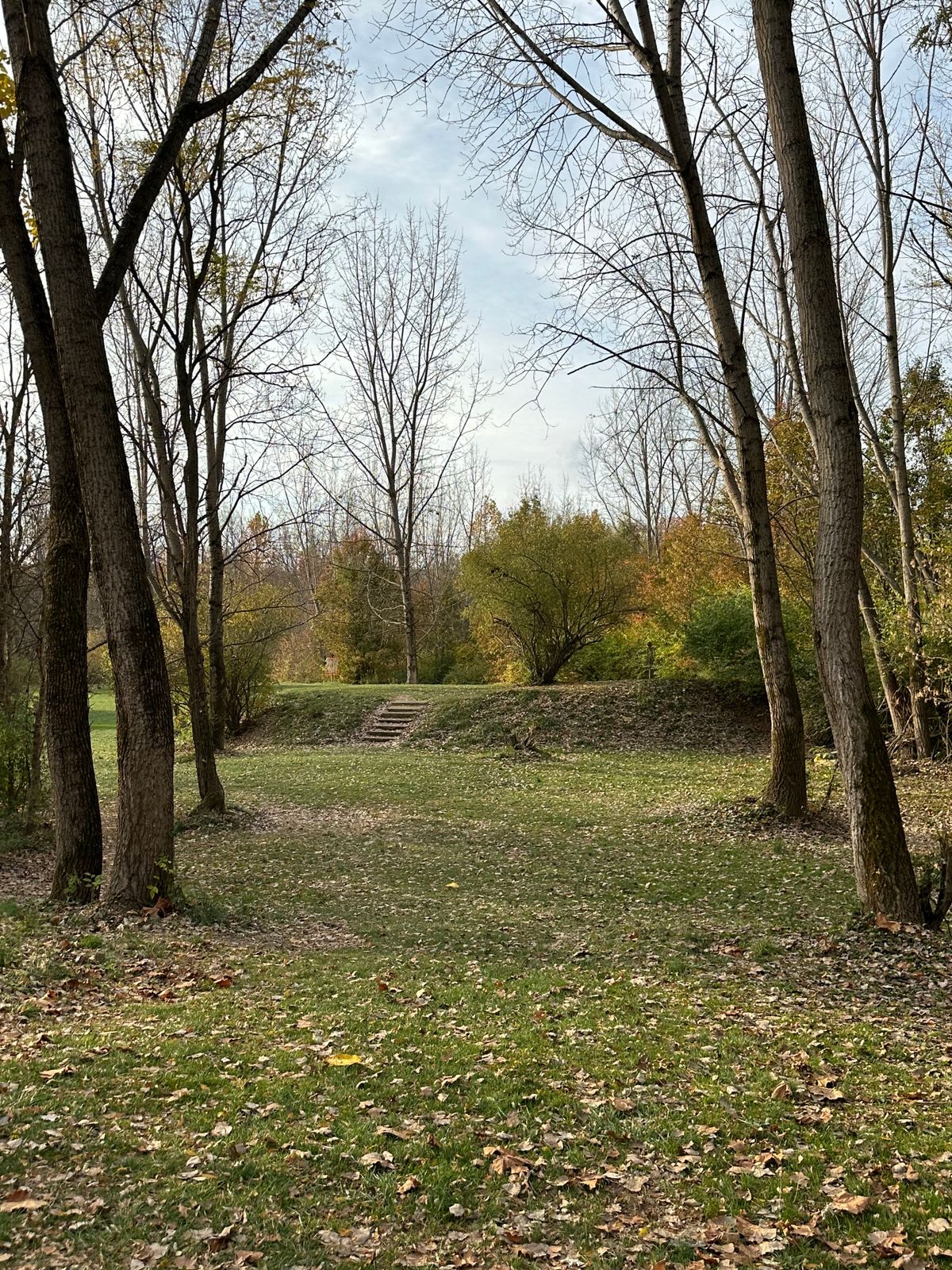 Middle of hole 4 fairway (10/31/24)