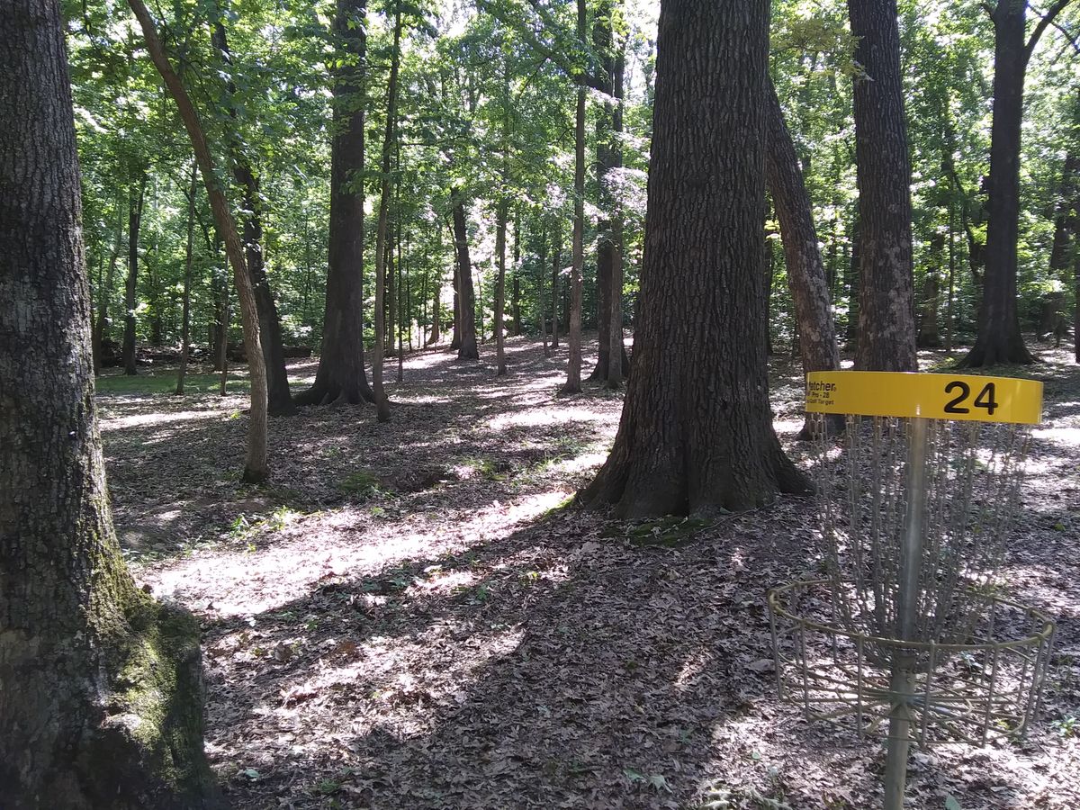 #24's yellow target looking up the fairway.