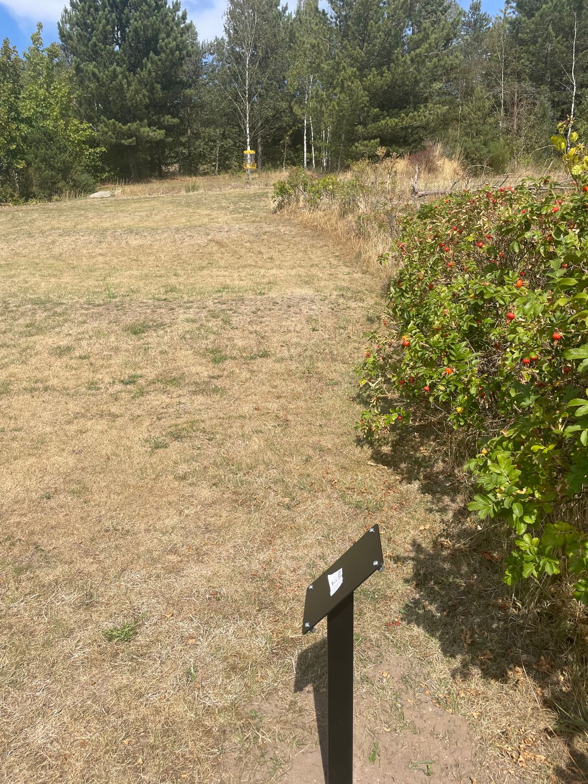 Hole 2 from Tee
