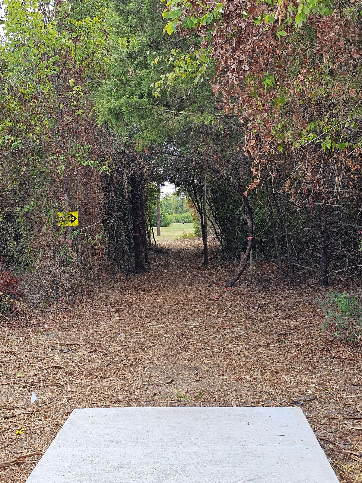 Hole 3 Tee