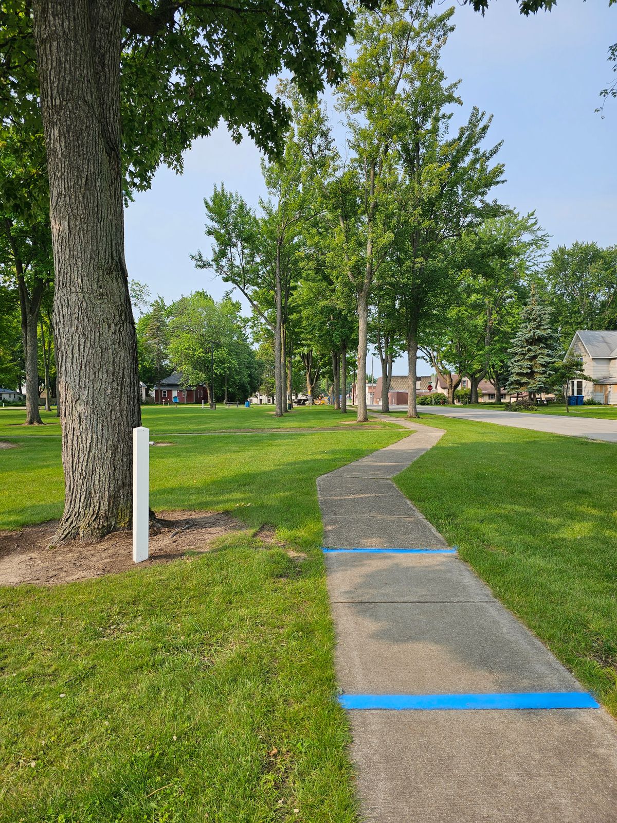 Hole 5 tee to basket, mando inbetween line of trees toward the canon. "Canon run"