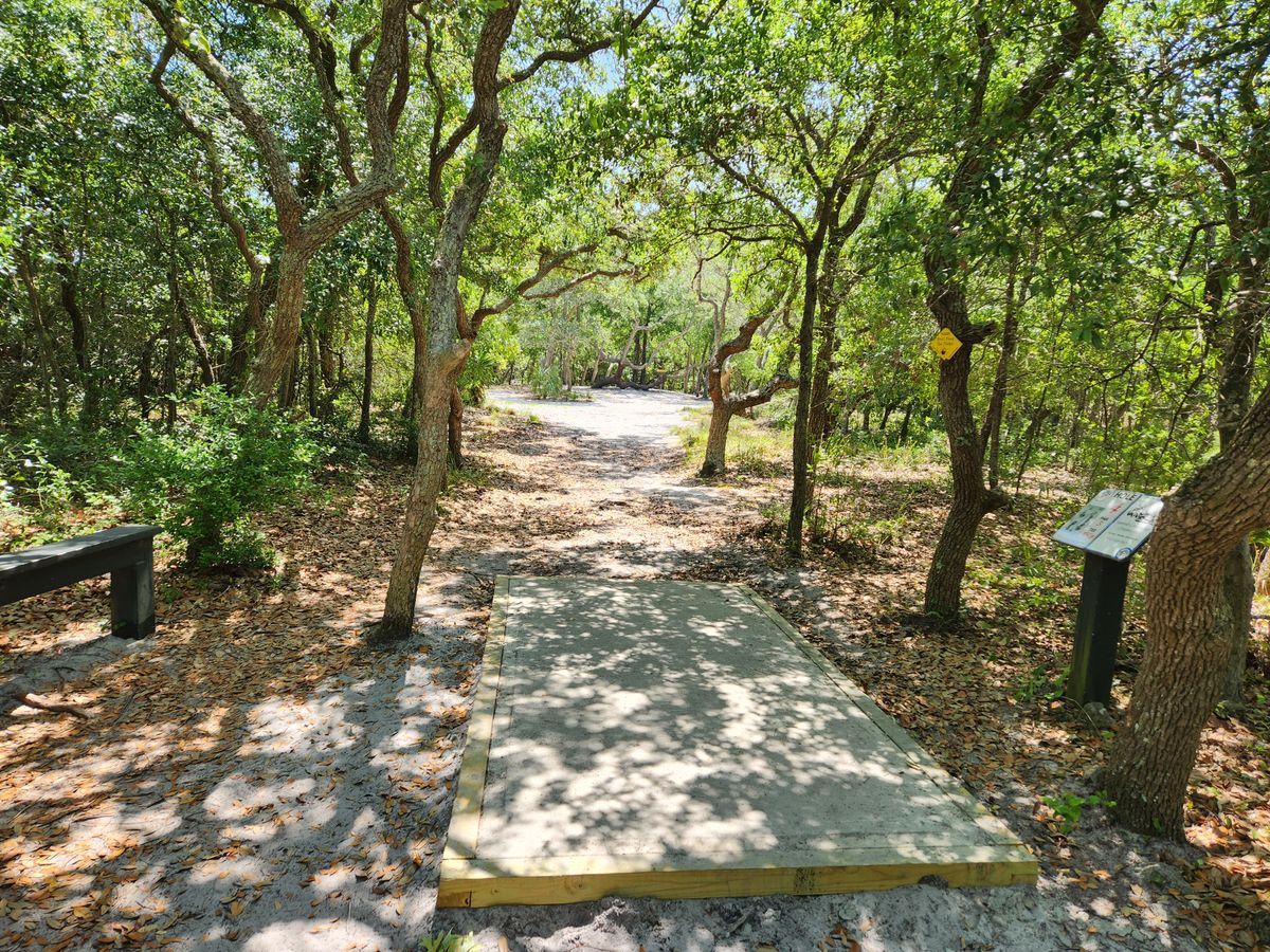 Hole 4 tee