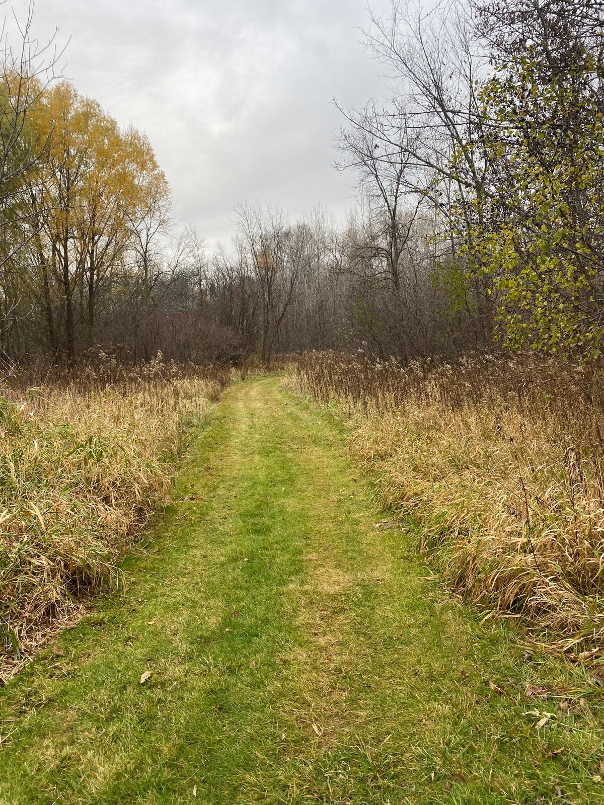 Hole 3 from the Tee pad.