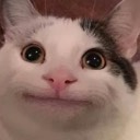 User avatar image