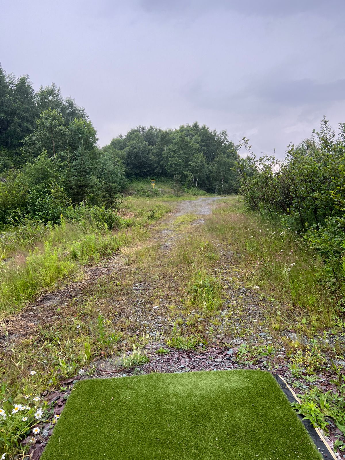 Hole 11B Tee