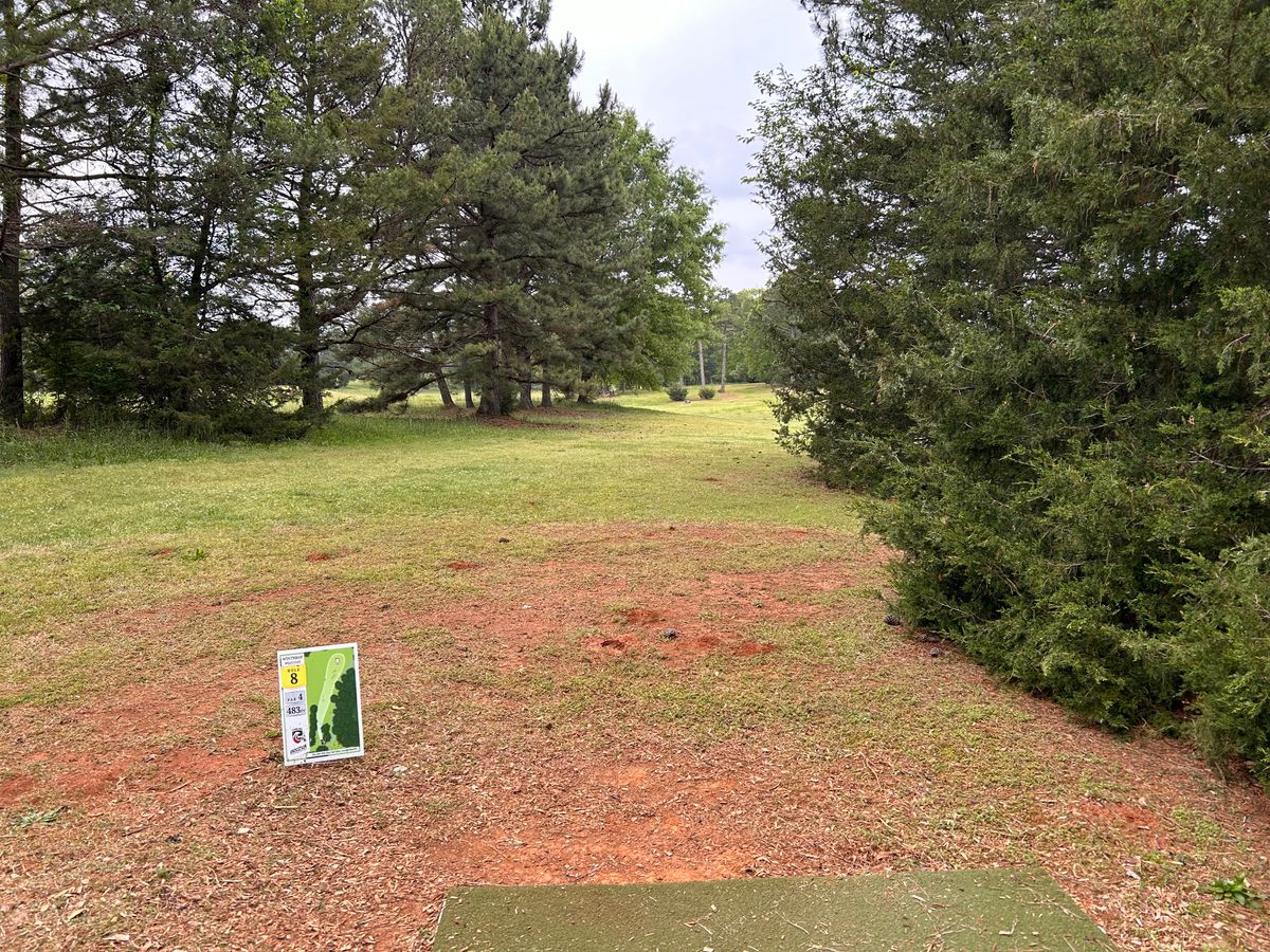 Hole 8 from the tee