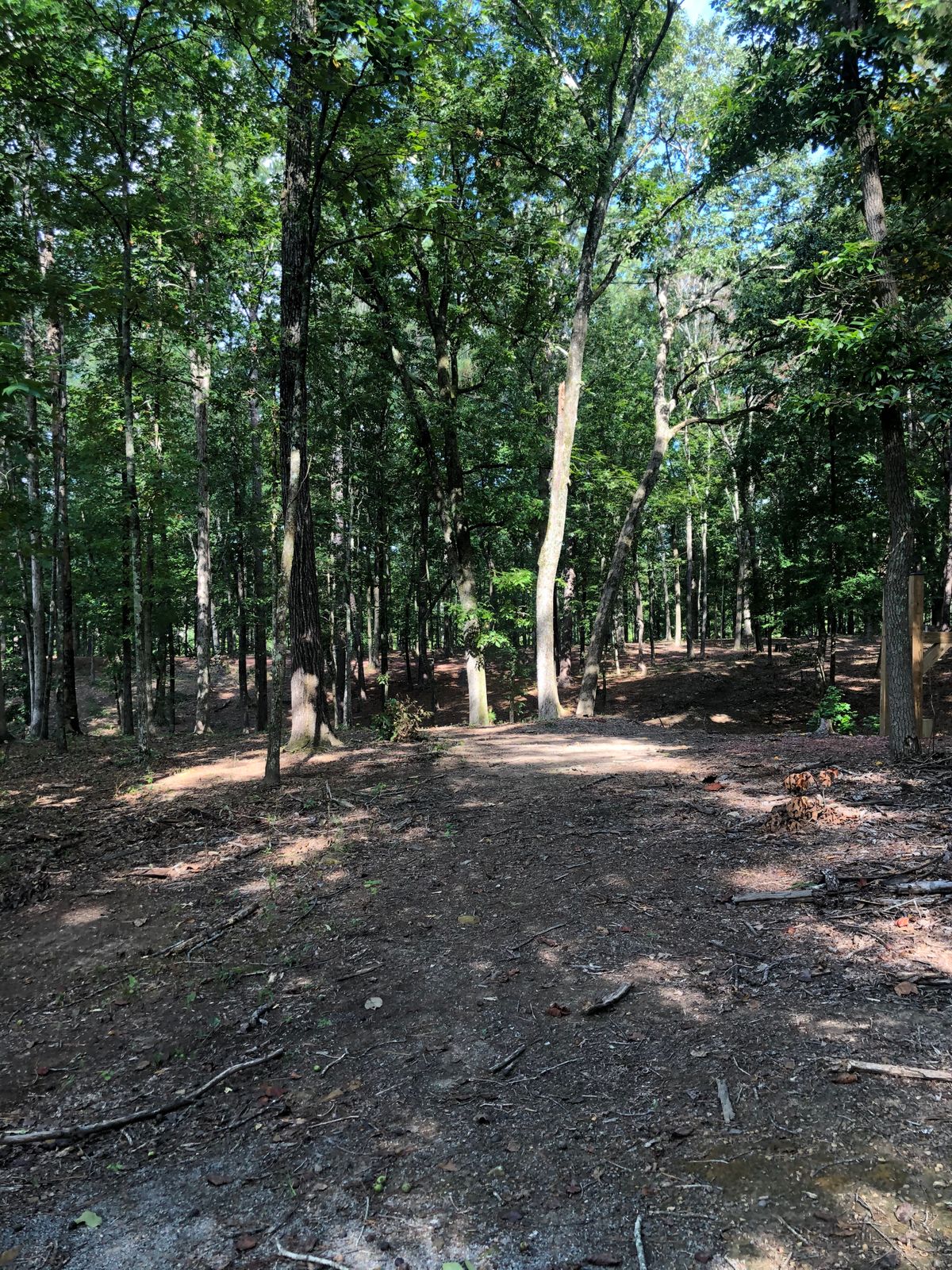 Hole 15