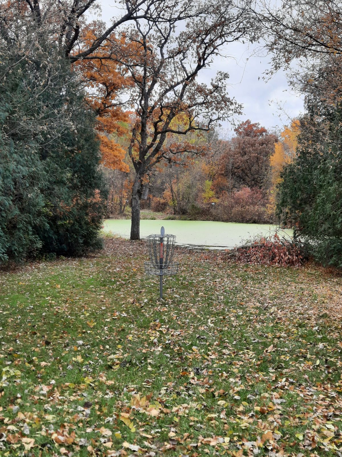 Hole 12 view from behind basket