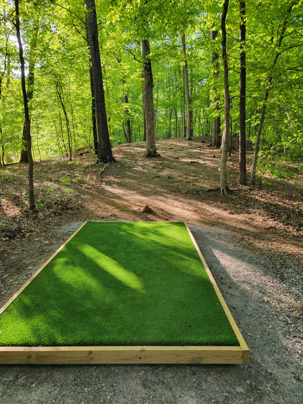 Hole 2.  Position A.

Discatcher is blind up over hilll.  
Blue flag is visible from teepad