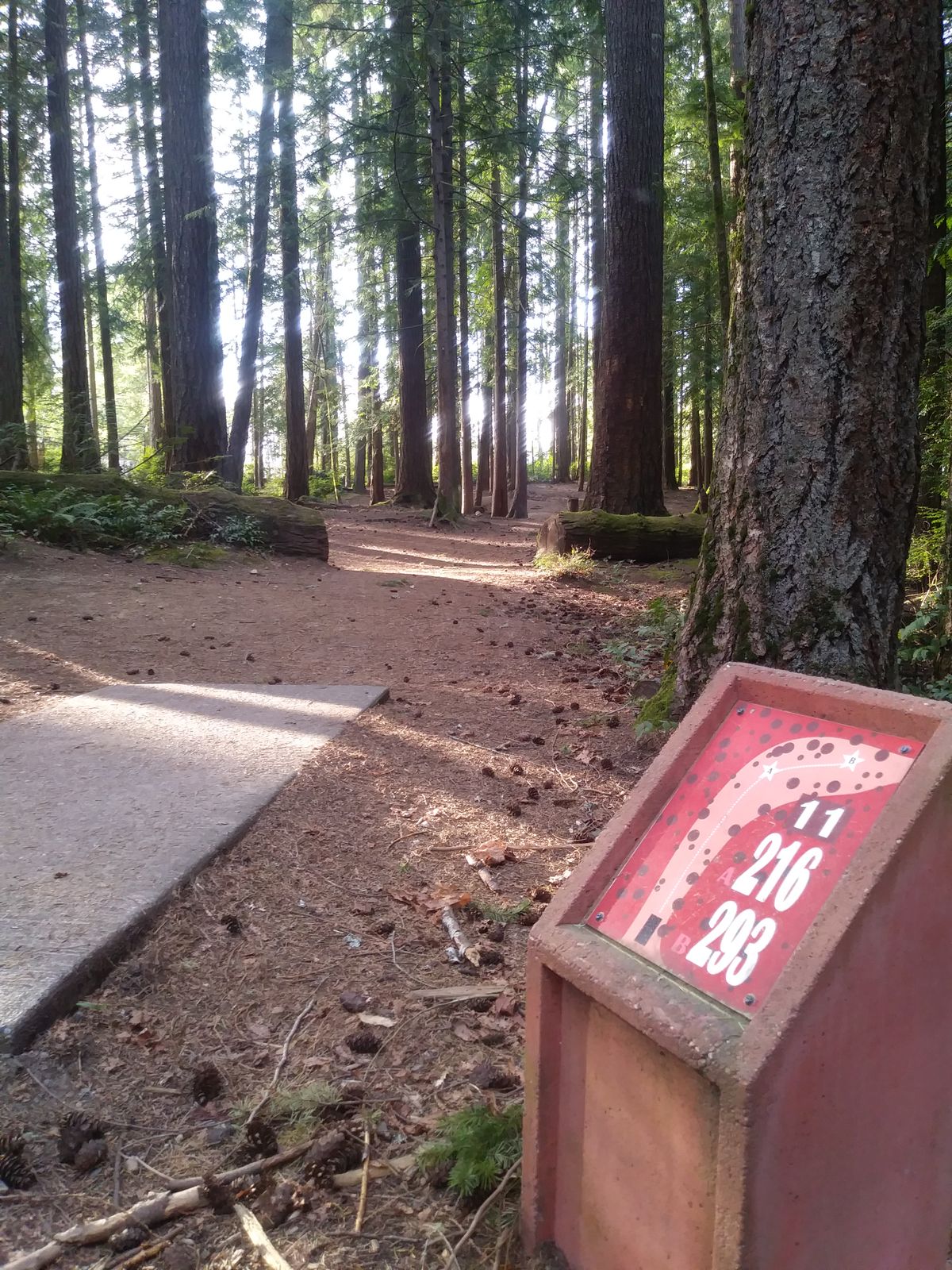 Hole 11 - Red Tee