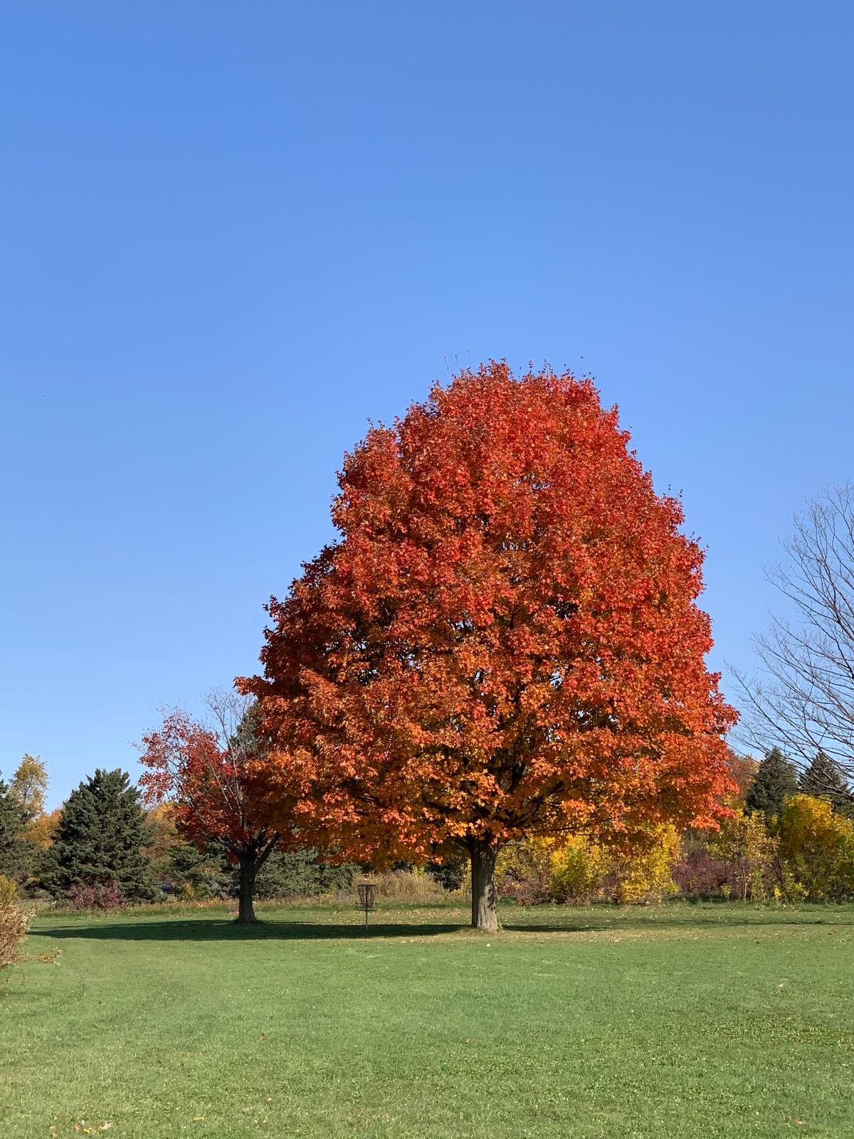 Hole 26