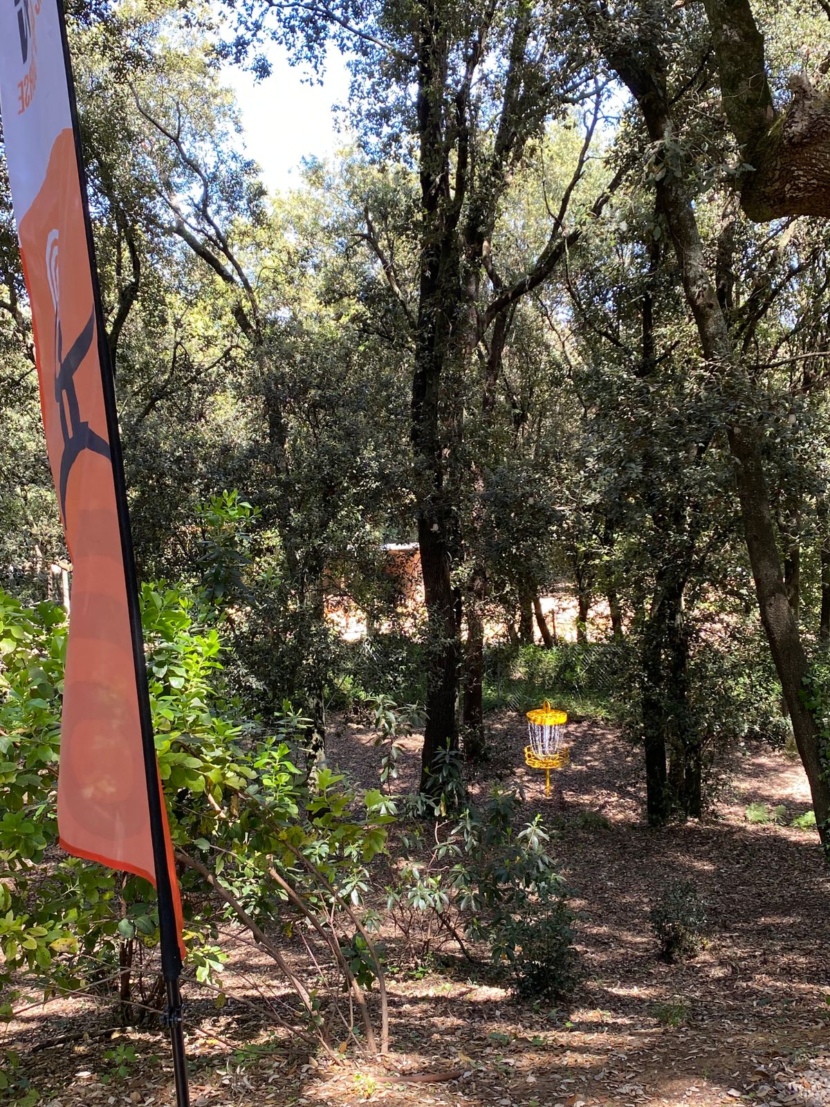 Hole 8 basket from the 9th fairway