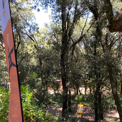 Hole 8 basket from the 9th fairway