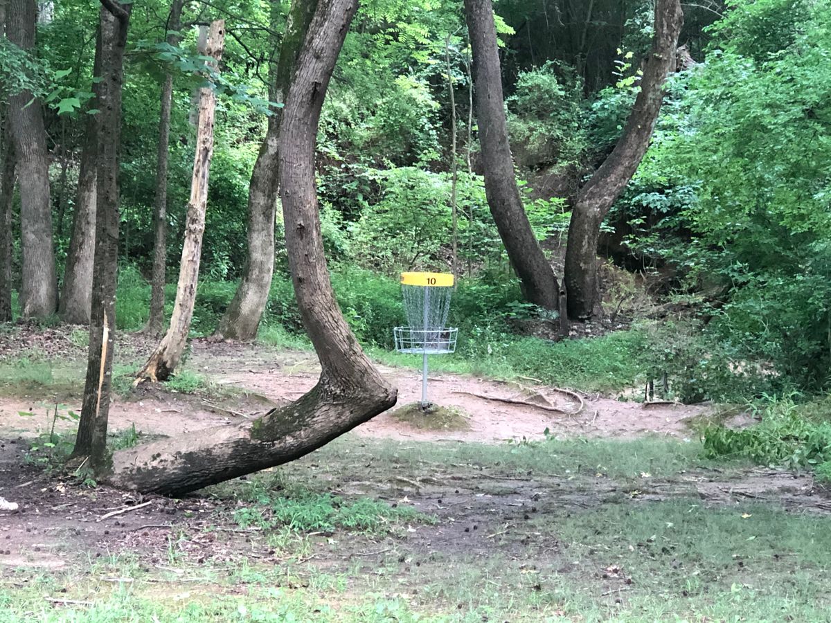 Basket says 10 in photo, but has been changed to 8. 