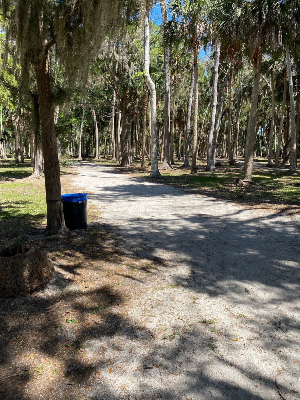 Nicely wooded. Good challenge for all skill levels.