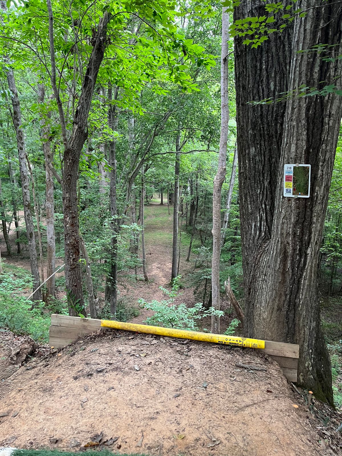 White tee 18. Very high elevation. I threw tomahawk.