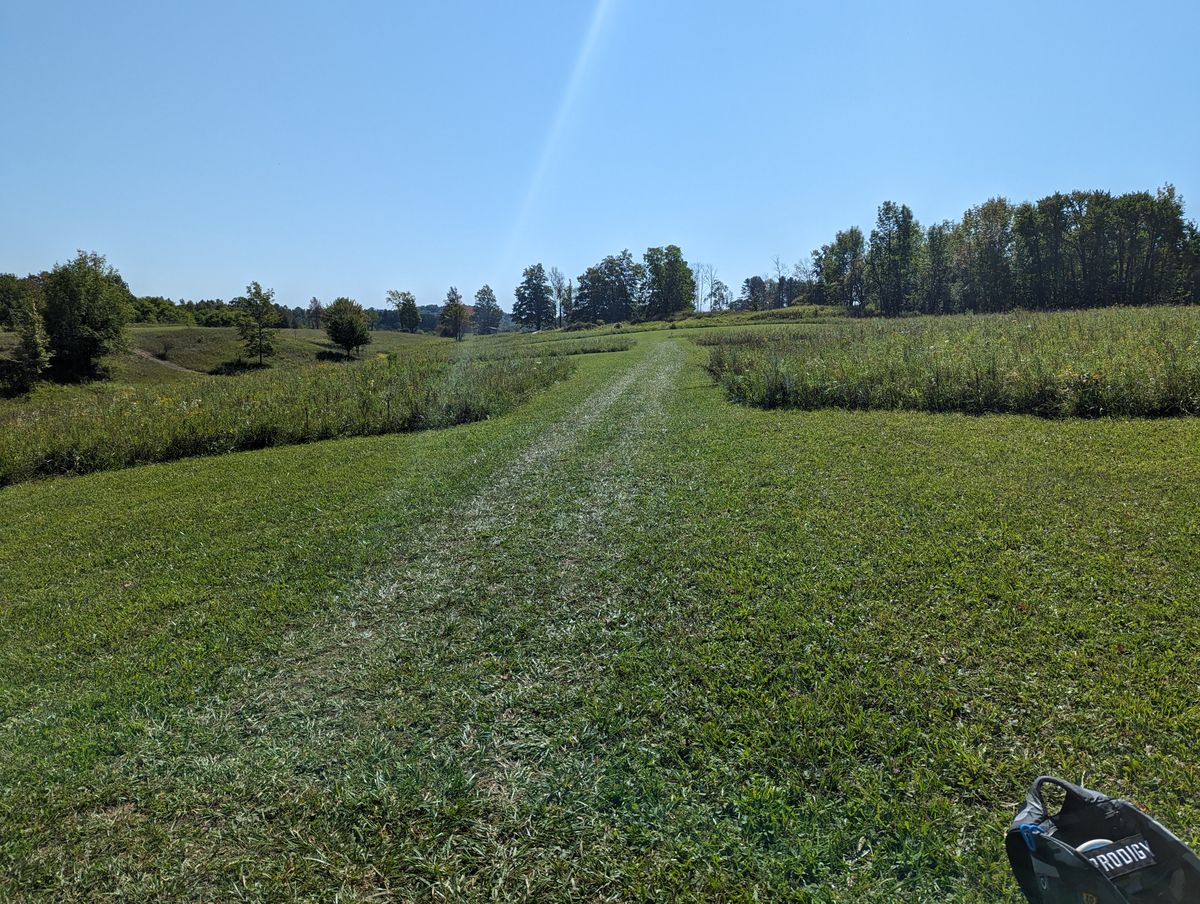 Hole 7 tee