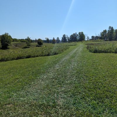 Hole 7 tee