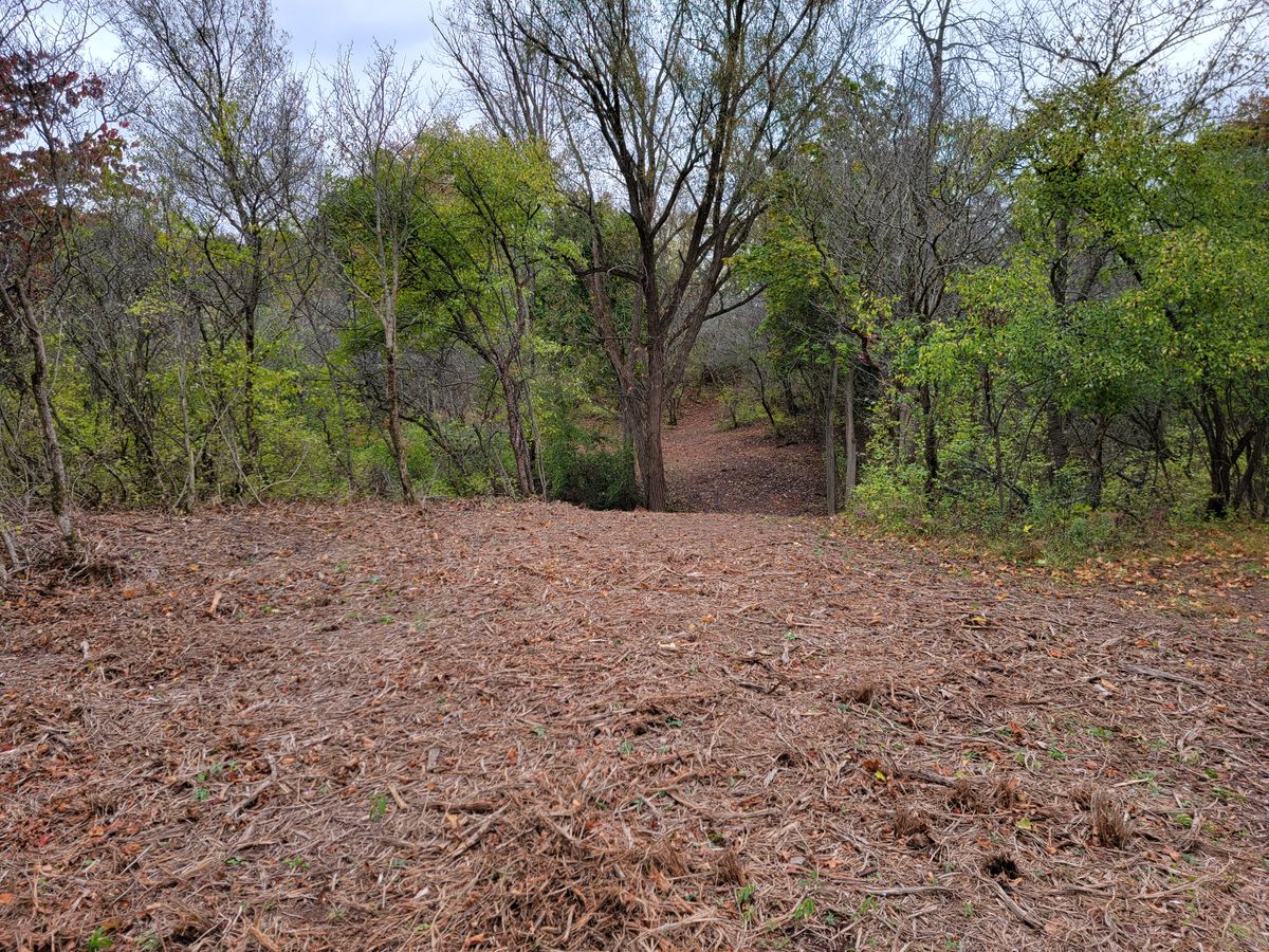 Hole 6 Blue