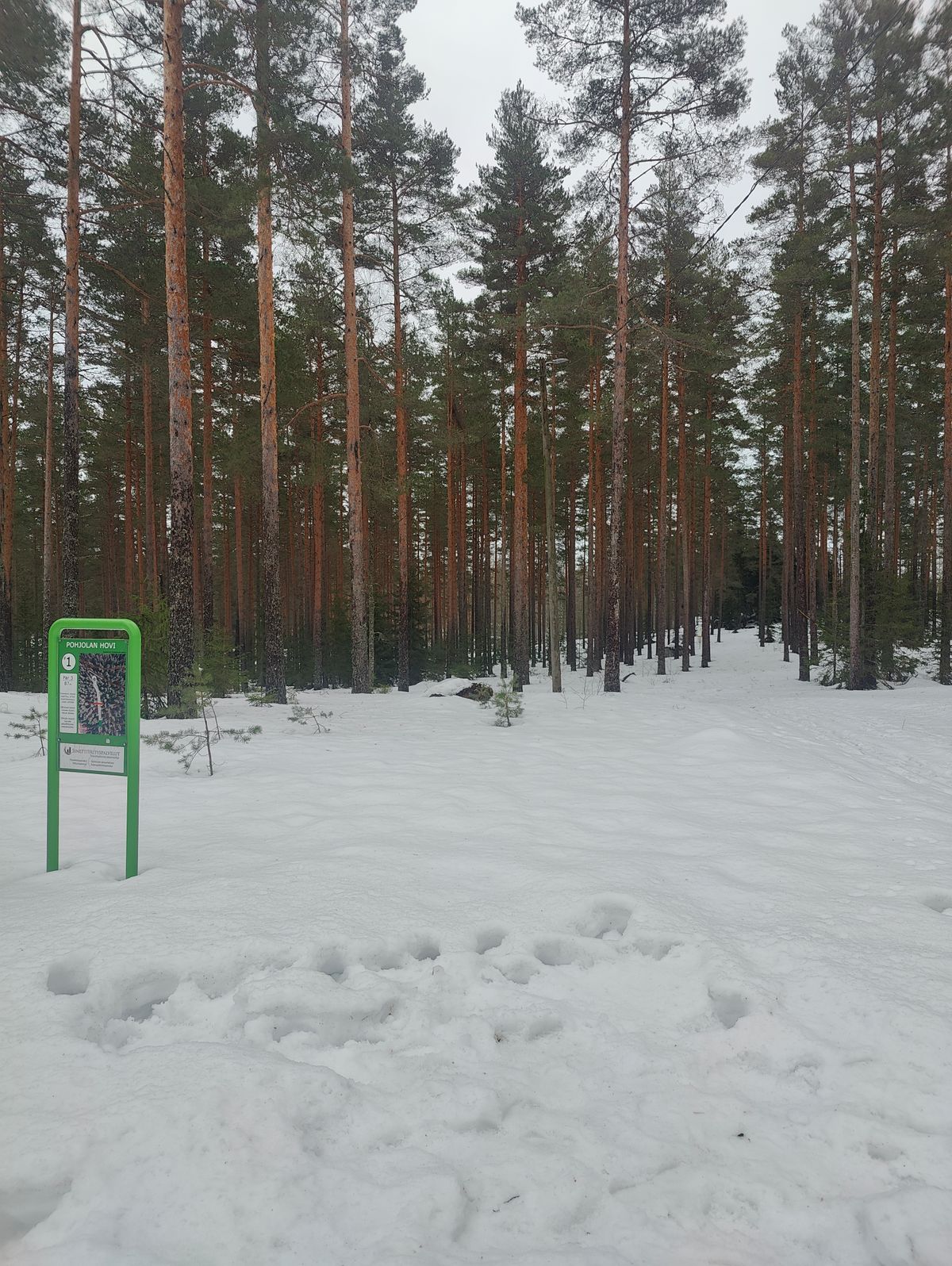 1 väylä, 1.3.2024