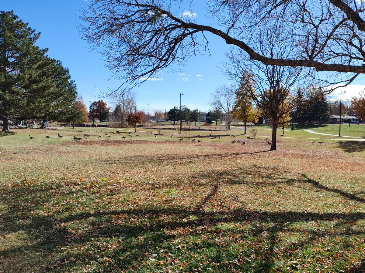 Baskets for Holes 9 (Left), 1 (Right), and 2 (across the hazard pond) in current pins