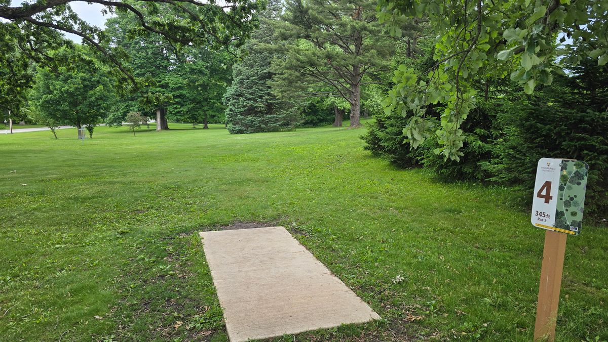 Hole 4 - Basket can be seen between the two large trees on the right. Also visible in the picture (from L to R) is Hole 8 basket, Hole 8 teepad, Hole 5 basket, and Hole 7 basket.