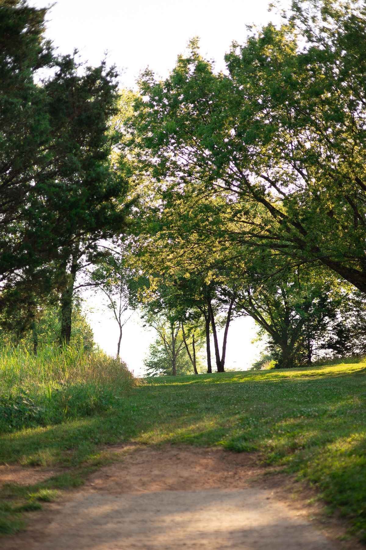 Hole 8 Short