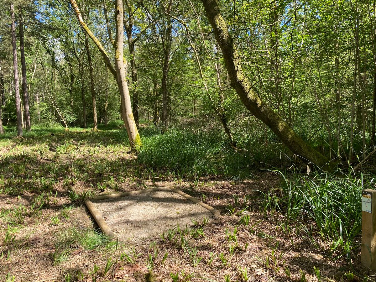 Hole 6 - Short