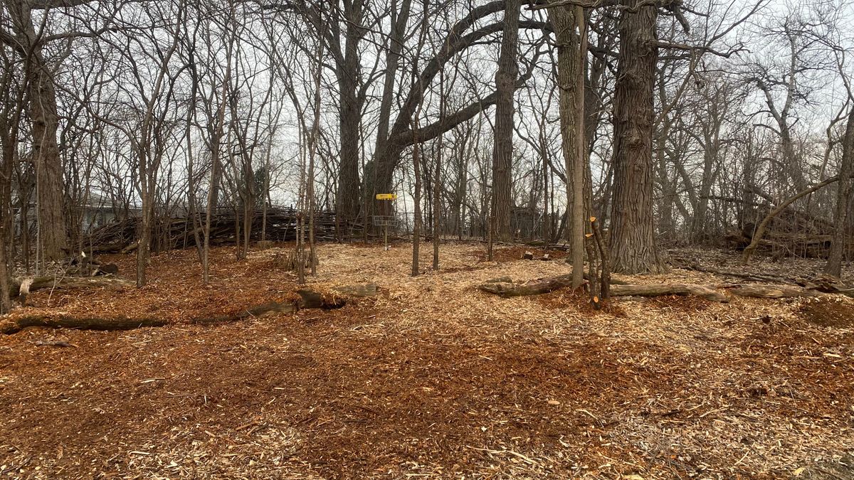 Hole 16 C pin