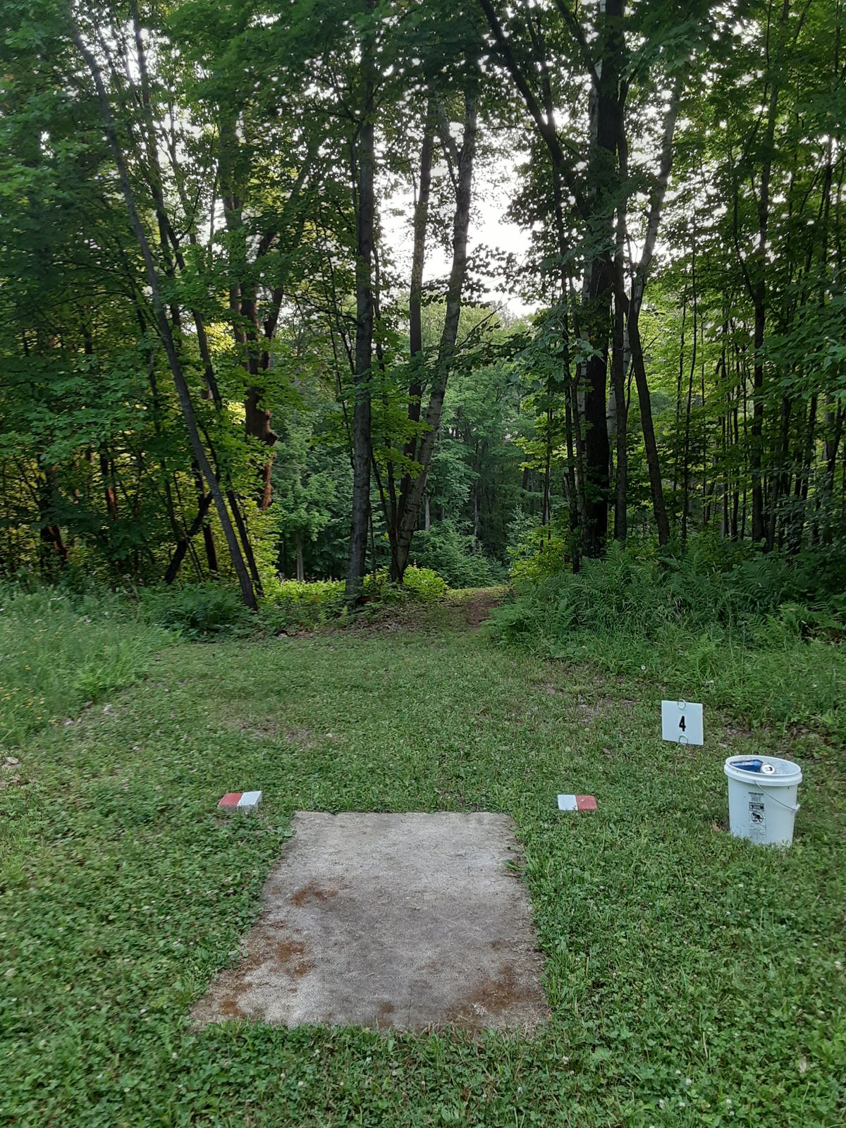 Hole 4 tee