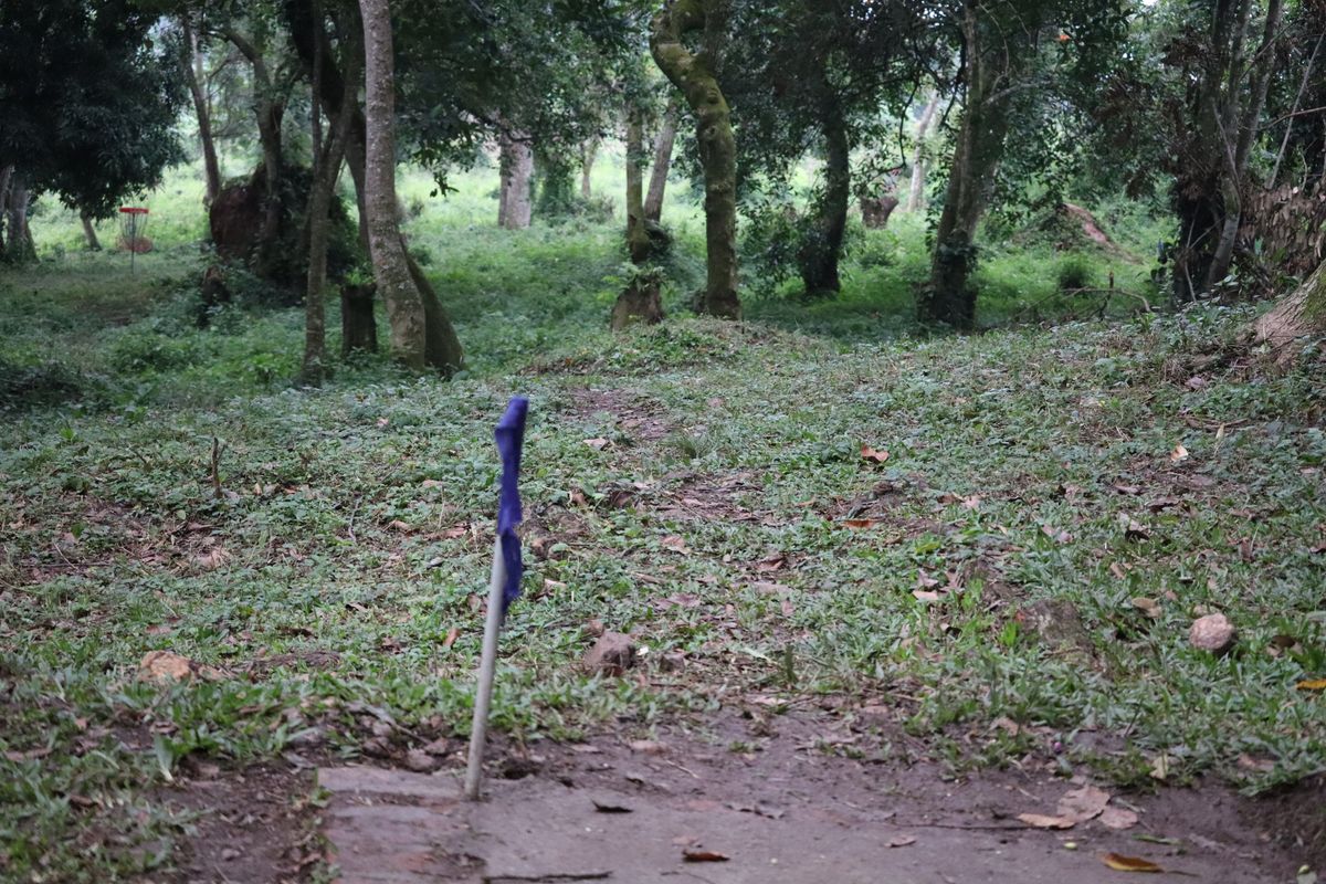 Hole 4 Long Tee