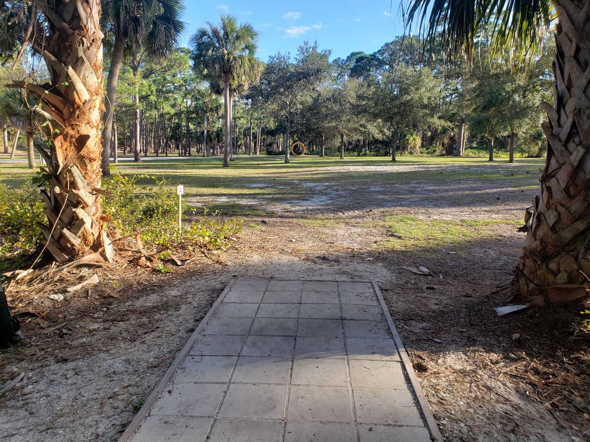 Tee pad 2
