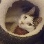 User avatar image