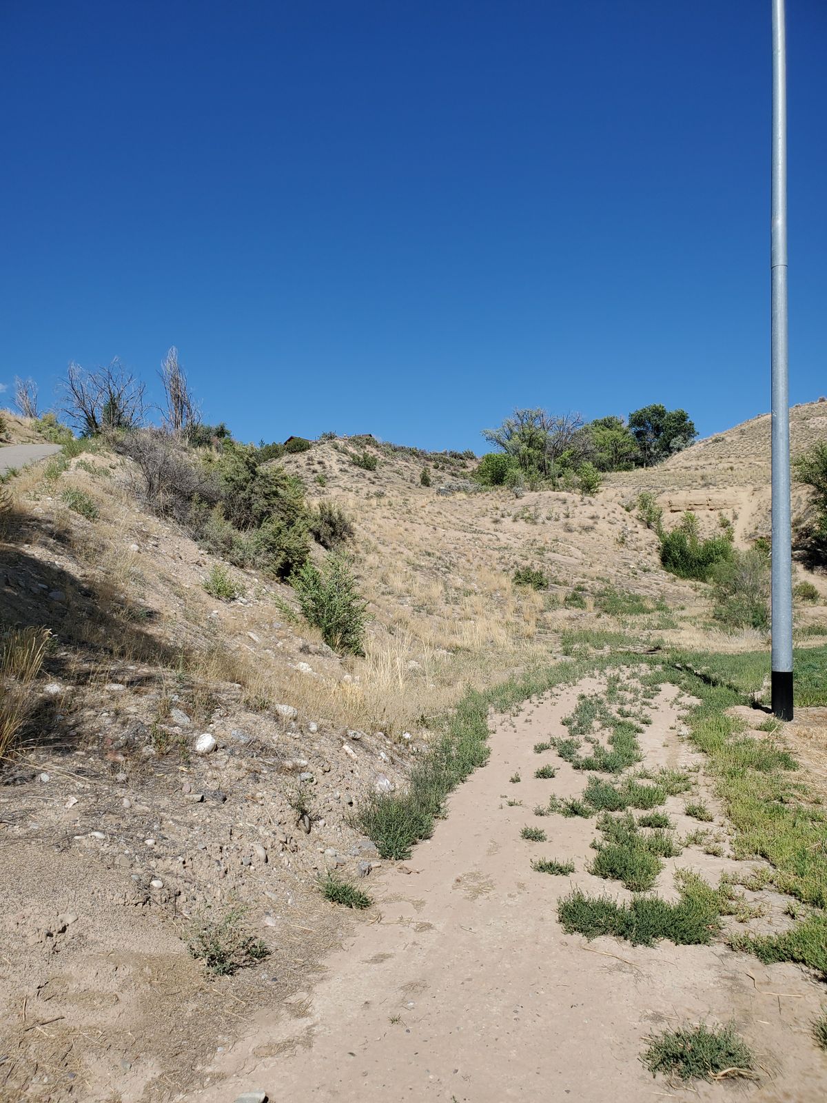 Desert mountain type course. Watch out for cactus.
