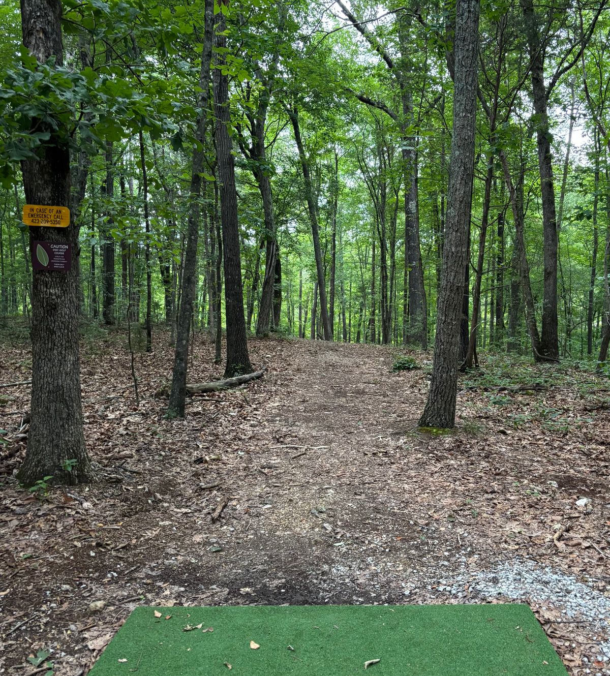 Hole #18 Tee