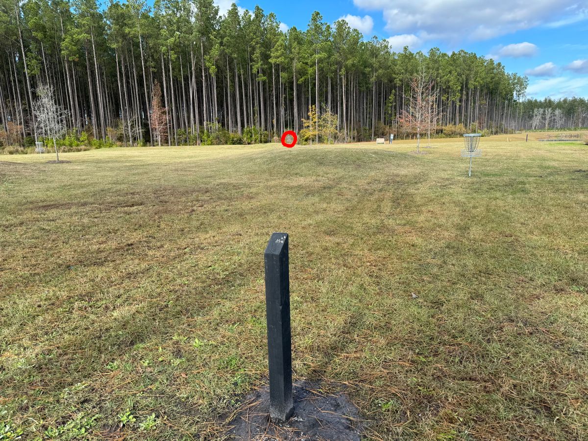 #02 fairway