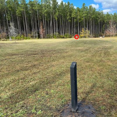 #02 fairway